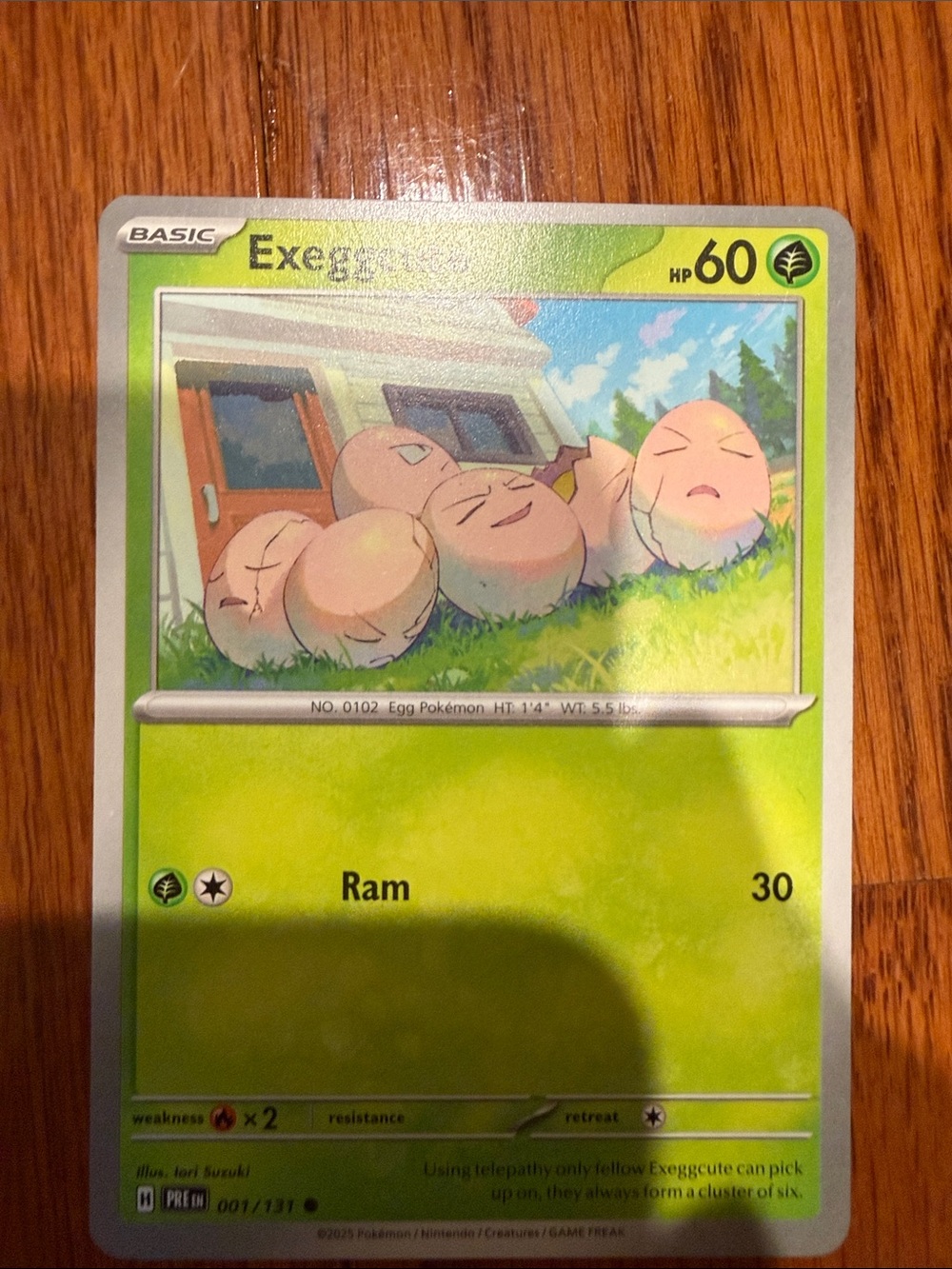 Pokemon Exeggcute Trading Card - Green